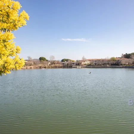 Magnificent 2-bedroom With Terrace Near The Sea And Golf Course Mandelieu